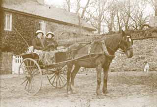 Pony and trap outside Cleverdon